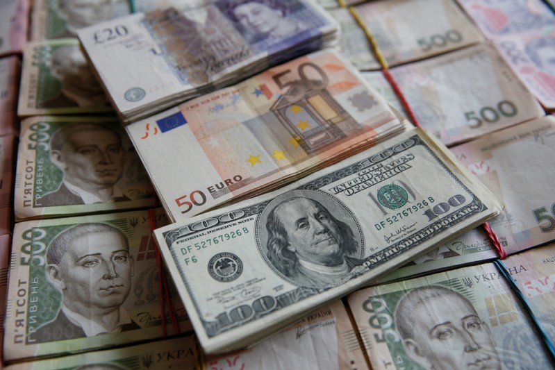 FILE PHOTO: U.S. dollar, euro, pound and Ukrainian hryvnia banknotes are seen in this picture illustration taken in Kiev