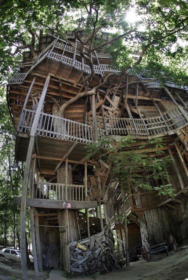 World’s largest treehouse burns to the ground
