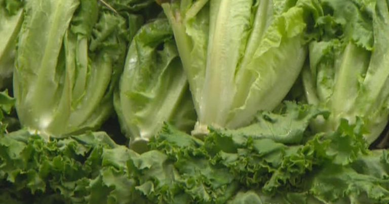 E. coli outbreak linked to romaine lettuce from California