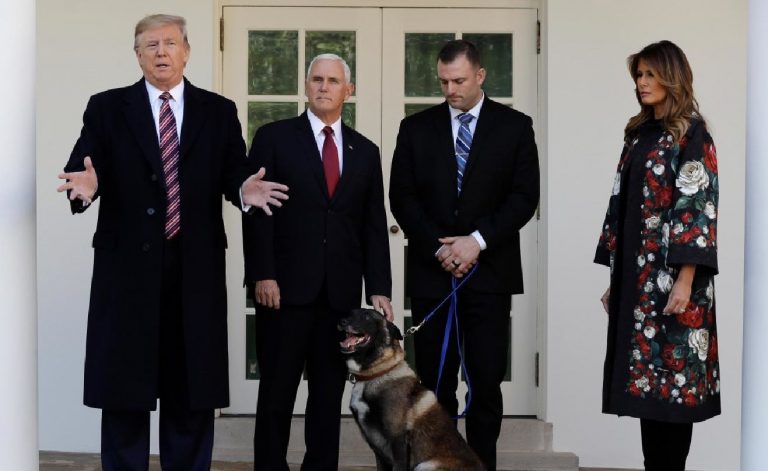 Hero Dog Conan Visits White House
