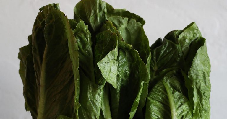 U.S. warns: Don’t eat romaine lettuce from Salinas, California
