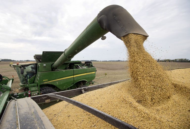 China buys US soybeans after Beijing issues new tariff waivers: Traders