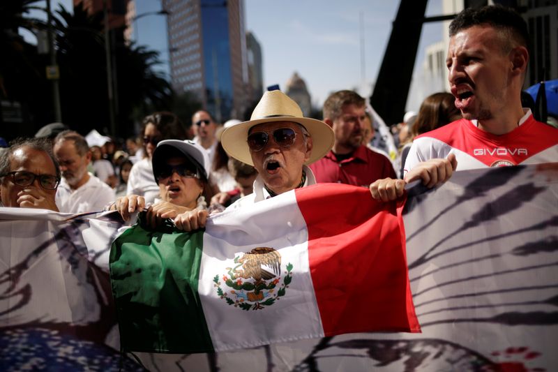 Demonstrators hold a Mexican flag during a march to protest against violence on the first anniversary of President Andres Manuel Lopez Obrador taking office, in Mexico City