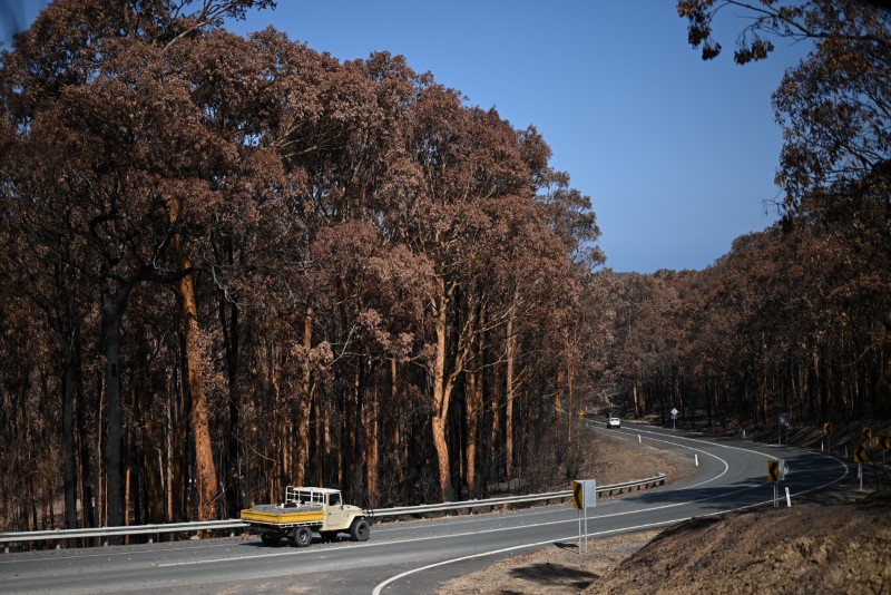 A truck drives past charred trees burnt during the recent bushfires near Batemans Bay