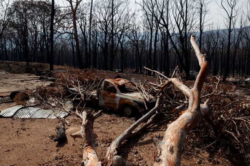 A fallen tree rests on a burned car after a wildfire destroyed the Kangaroo Valley Bush Retreat in Kangaroo Valley