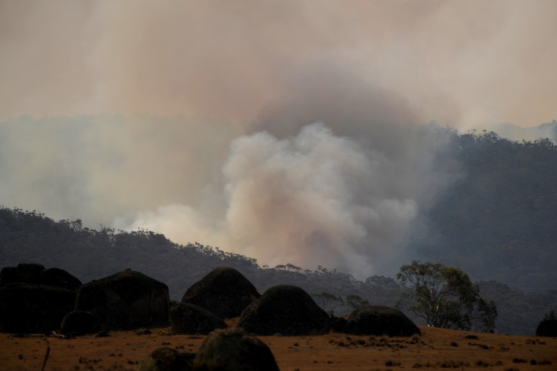 Bushfires in Adaminaby Complex, New South Wales