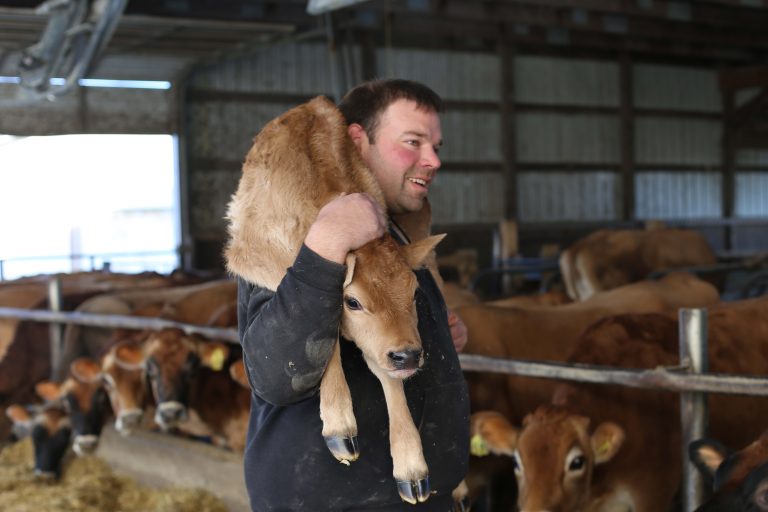 ‘It crushes me’: Dairy farmers struggle to survive Trump’s trade wars and declining milk demand