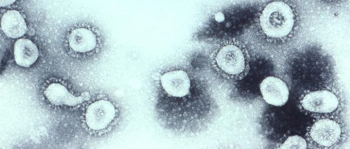 Social Media Posts Spread Bogus Coronavirus Conspiracy Theory