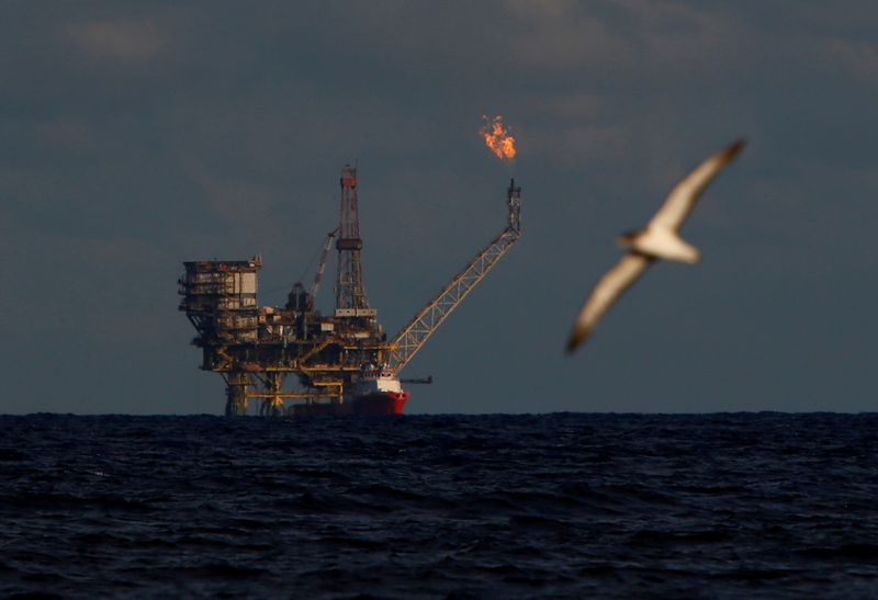 FILE PHOTO: A seagull flies in front of an oil platform in the Bouri Oilfield some 70 nautical miles north of the coast of Libya