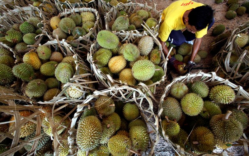 FILE PHOTO: A vendor opens durians at the 