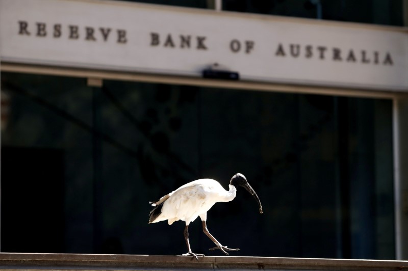 FILE PHOTO: An ibis bird perches next to the Reserve Bank of Australia headquarters in central Sydney