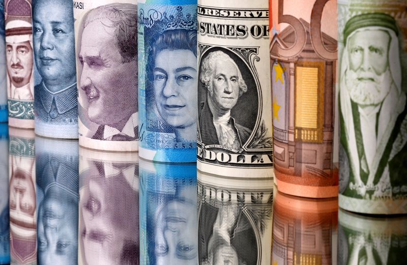 FILE PHOTO: Saudi riyal, yuan, Turkish lira, pound, U.S. dollar, euro and Jordanian dinar banknotes are seen in this illustration
