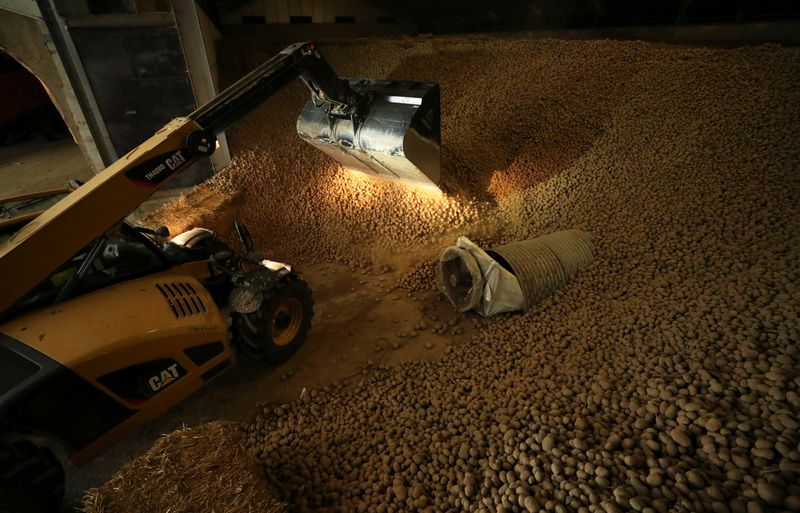 A farmer works among tons of potatoes part of which is leftover due to the closure of restaurants and borders following the coronavirus disease (COVID-19) outbreak, near the city of Moucron