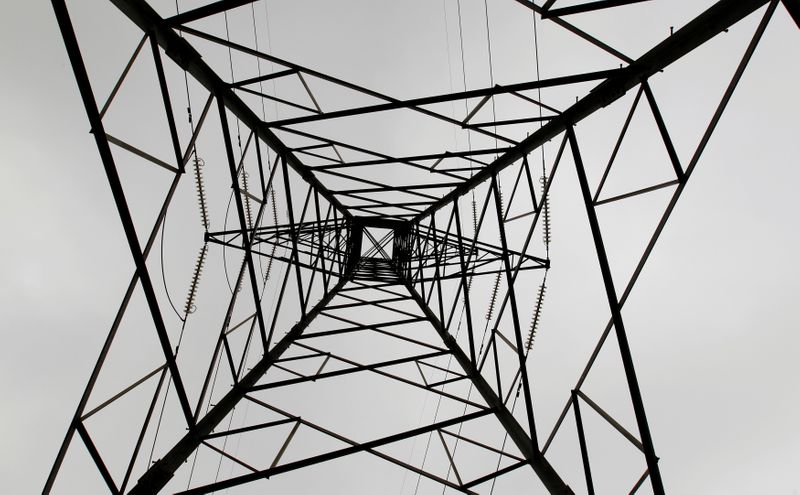 FILE PHOTO: A high voltage electrical pylon stands on the outskirts of Kenya's capital Nairobi