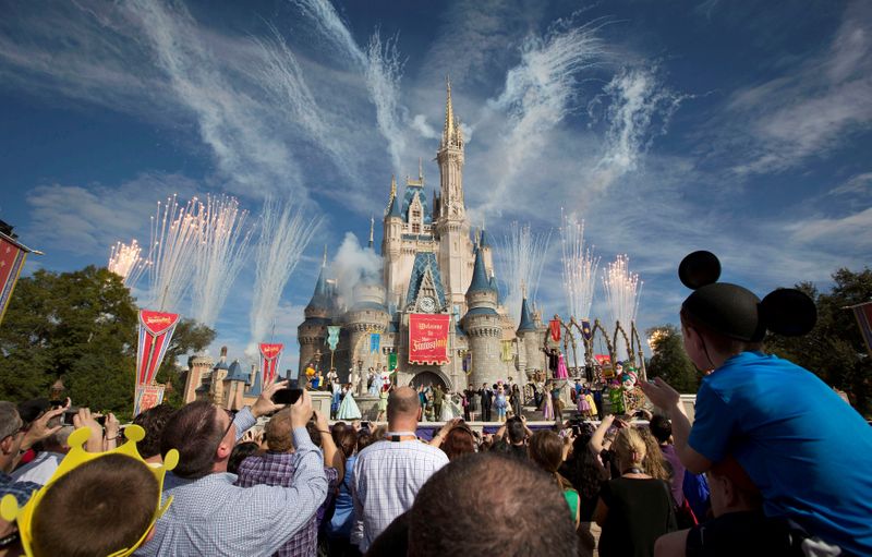 FILE PHOTO: Fireworks go off around Cinderella's castle during the grand opening ceremony for Walt Disney World's new Fantasyland in Lake Buena Vista, Florida