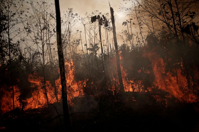 FILE PHOTO: A burning tract of Amazon jungle is seen while as it is being cleared by loggers and farmers in Porto Velho