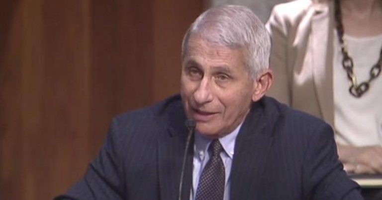 Fauci warns virus cases could hit 100,000 per day