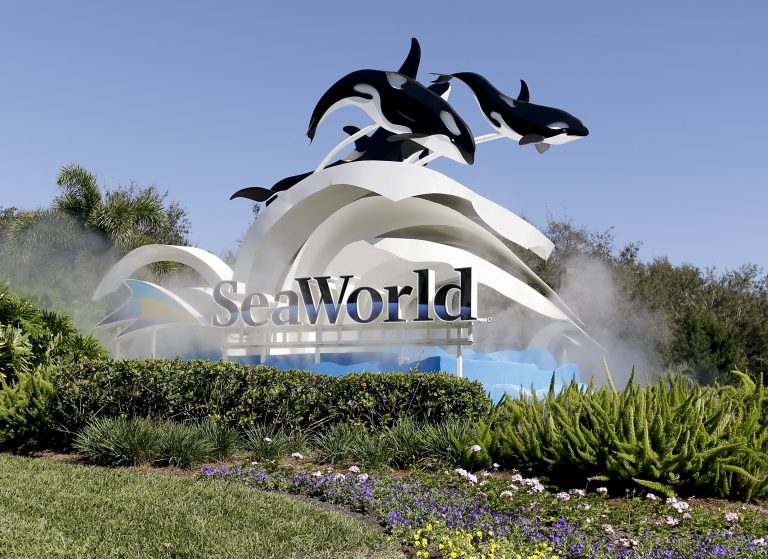 SeaWorld to reopen San Antonio park June 19