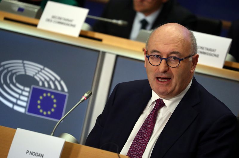 European Trade Commissioner-designate Phil Hogan attends his hearing before the European Parliament in Brussels