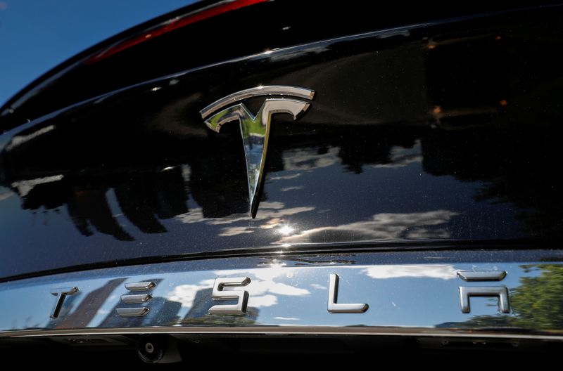 FILE PHOTO: The company logo is pictured on a Tesla Model X electric vehicle in Moscow