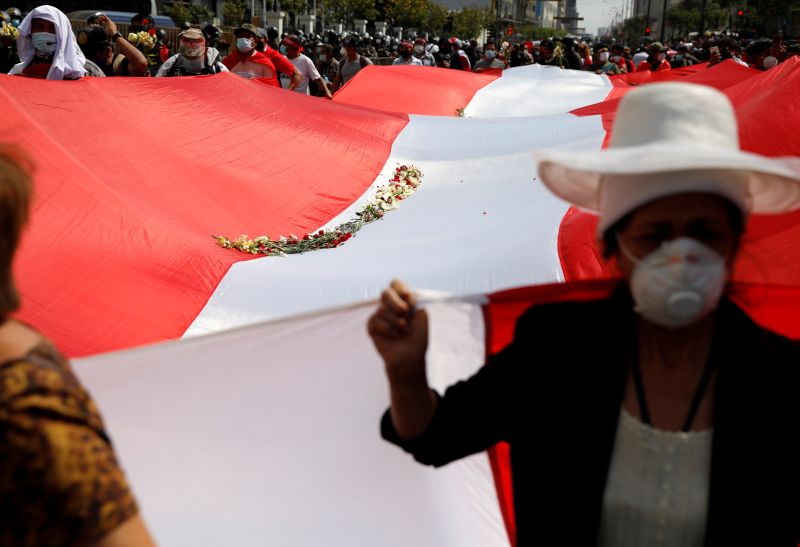 Demonstrators carry a national flag as Peru's Congress elected legislator Francisco Sagasti as the country's interim president, in Lima