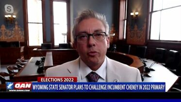 Wyo. state senator plans to challenge incumbent Cheney in 2022 primary