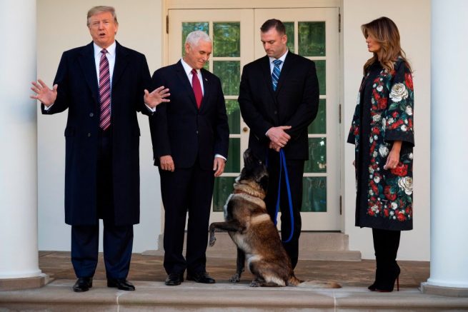 (FILES) In this file photo taken on November 25, 2019, US President Donald Trump (L), Vice President Mike Pence (2nd L) and First Lady Melania Trump (R) stand with Conan, the military dog that was involved with the death of ISIS leader Abu Bakr al-Baghdadi, at the White House in Washington, DC. - President Donald Trump has shattered through norms and niceties on the world stage in his nearly three years in office. Entering an election year, Trump is unlikely to slow down as he seeks what has largely eluded him -- a headline-grabbing victory. The tycoon turned president closes 2019 with a new stride after what was perhaps his most unambiguous achievement -- US commandos' raid that killed the leader of the Islamic State extremist group. But the year was also full of tosses and turns for Trump. On his ambition to end the war in Afghanistan, he startled Washington by inviting the Taliban to talks but then declared the talks dead before resuming them. (Photo by JIM WATSON / AFP) (Photo by JIM WATSON/AFP via Getty Images)