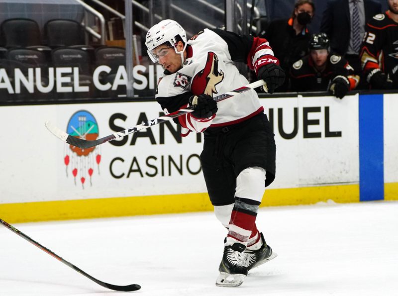 NHL: Arizona Coyotes at Anaheim Ducks