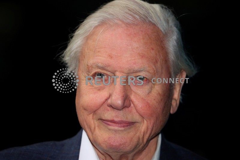 FILE PHOTO: Broadcaster and film maker David Attenborough attends the premiere of Blue Planet II at the British Film Institute in London