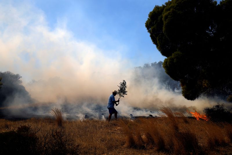 Wildfire near Athens