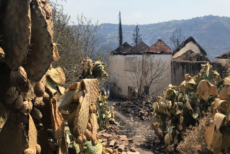 A view shows a burnt area following a wildfire in the village of Ait Sid Ali