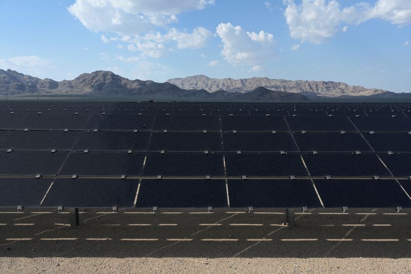 FILE PHOTO: Solar panels are seen at the Desert Stateline project near Nipton