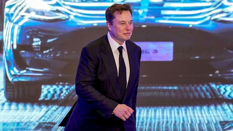 elon-musk-walks-by-tesla-picture-in-china
