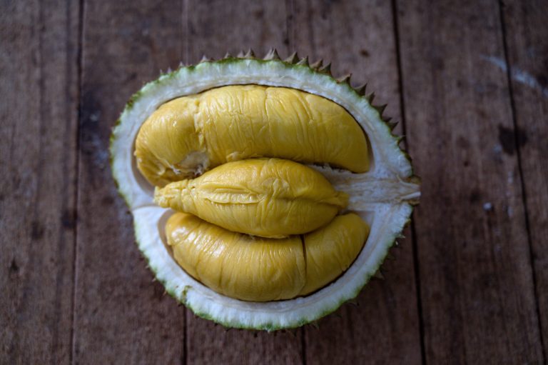Scientists turn durian waste into bandages — and the internet has questions