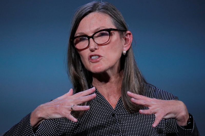 FILE PHOTO: Cathie Wood, founder and CEO of ARK Investment Management LLC, speaks during the Skybridge Capital SALT New York 2021 conference in New York