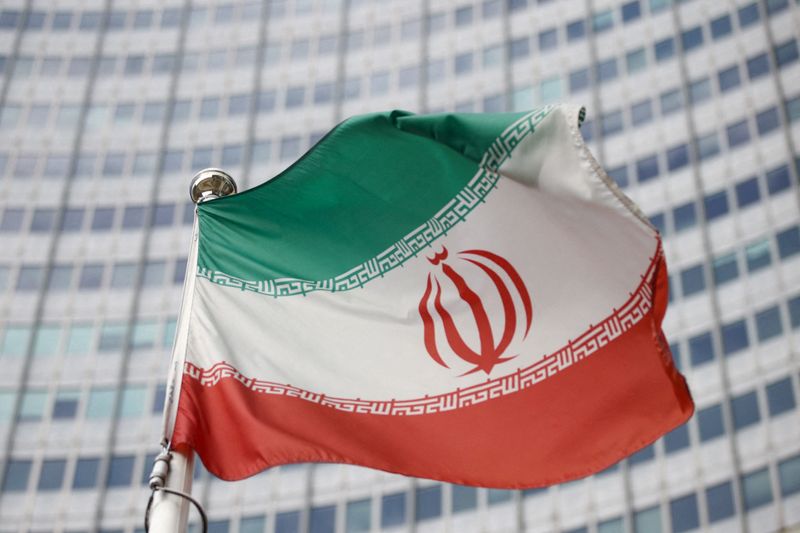 FILE PHOTO: Iran's flag pictured in March