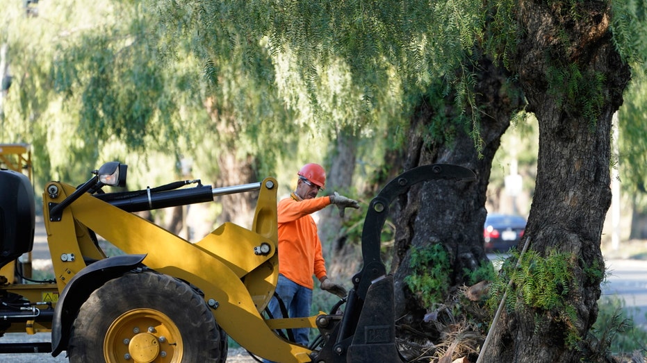A crew removes tree debris