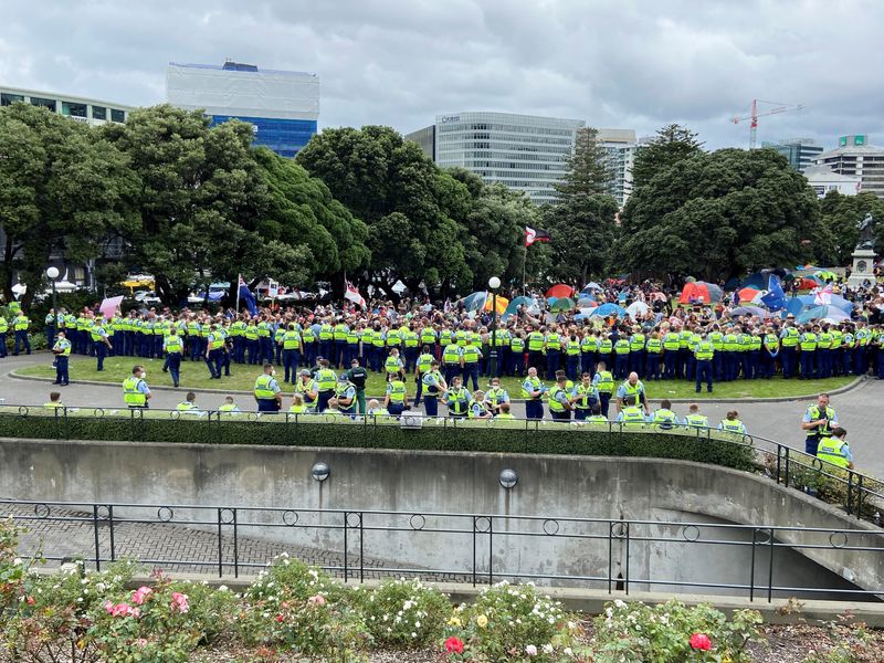 Anti-vaccine mandate protesters gather to demonstrate in front of the parliament, in Wellington