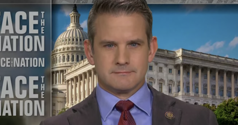 Kinzinger “not convinced” Meadows has given all texts to January 6 committee