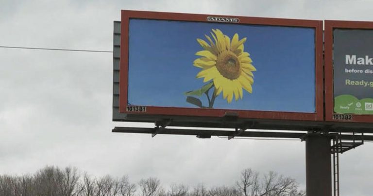 Billboards with Ukrainian national flower pop up in U.S.