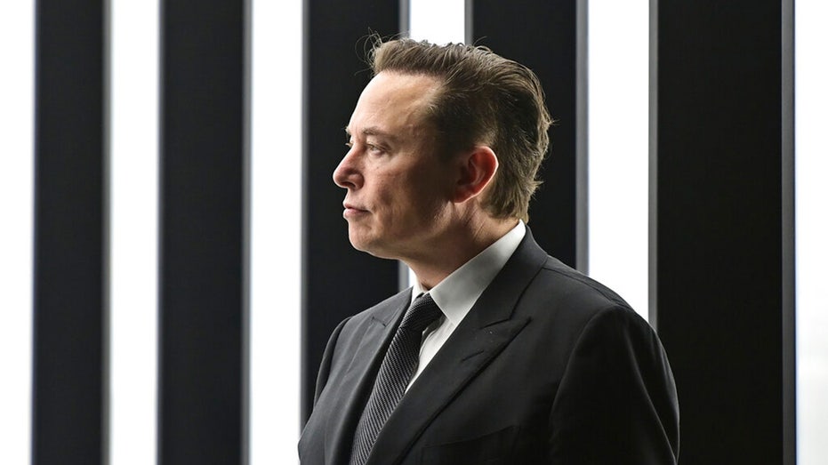Tesla CEO Elon Musk stands at the opening of the company's Berlin factory.