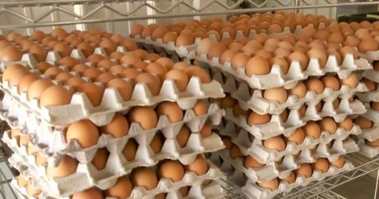 Inflation and deadly bird flu drive up egg prices