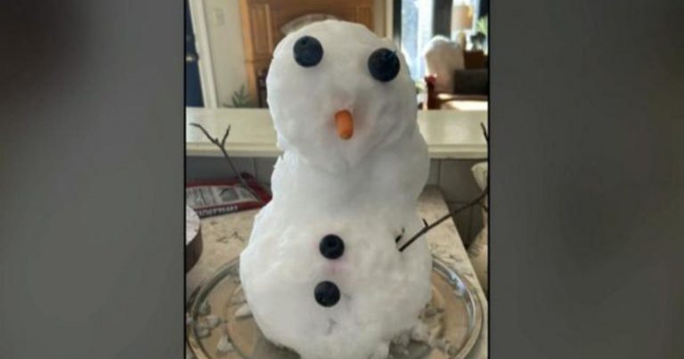 Snowman who melted Florida students’ hearts takes on new life