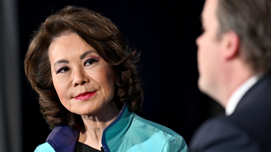 Elaine Chao speaks at a summit.