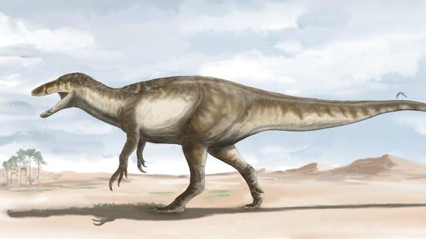 “Death shadow” fossils of largest raptor dinosaur unearthed in Argentina