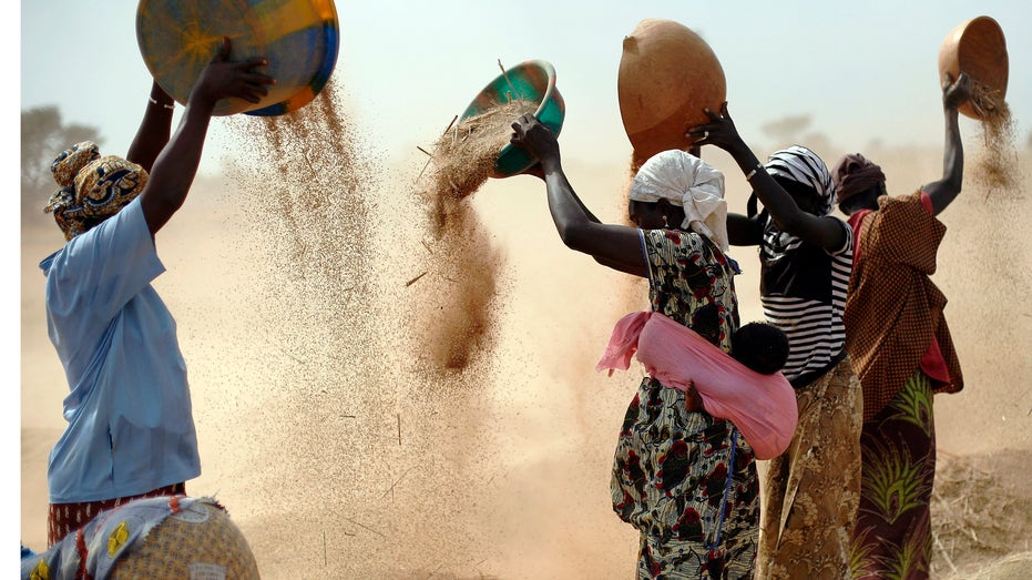 African families, wheat shortage