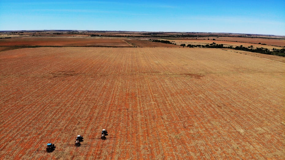 African wheat shortage