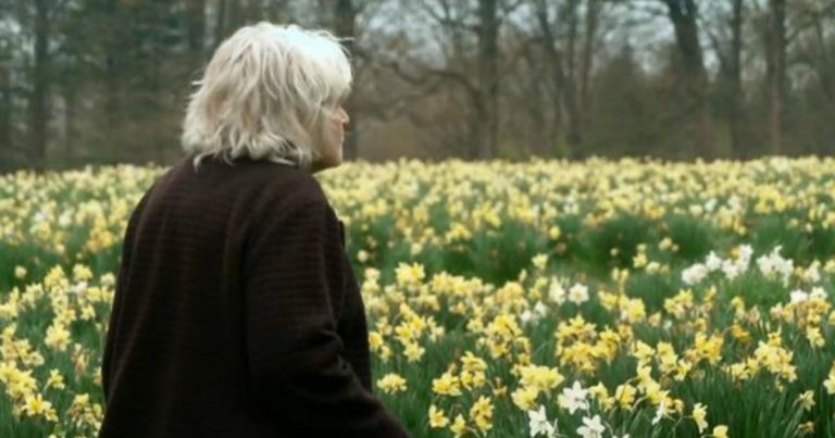 Husband’s love for his wife lives on in field of 40,000 daffodils