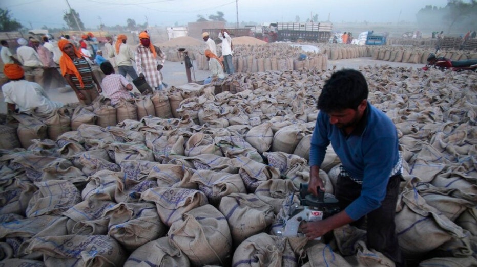 A worker seals sacks filled with wheat in India