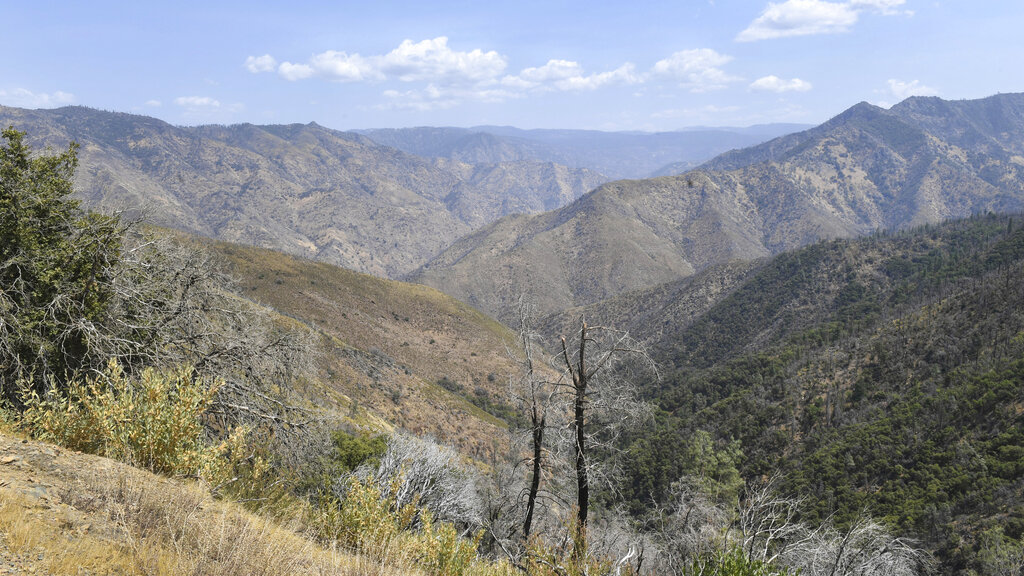 A remote canyon area northeast of the town of Mariposa, seen on Wednesday, Aug. 18, 2021, is reported to be the area where a family and their dog were found dead on Tuesday, the Mariposa County Sheriff's Office said. Investigators are considering whether toxic algae blooms or other hazards may have contributed to the deaths of the Northern California couple, their baby and the family dog on a remote hiking trail, authorities said. (Craig Kohlruss/The Fresno Bee via AP)